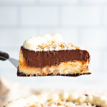 a slice of mounds cheesecake up close.