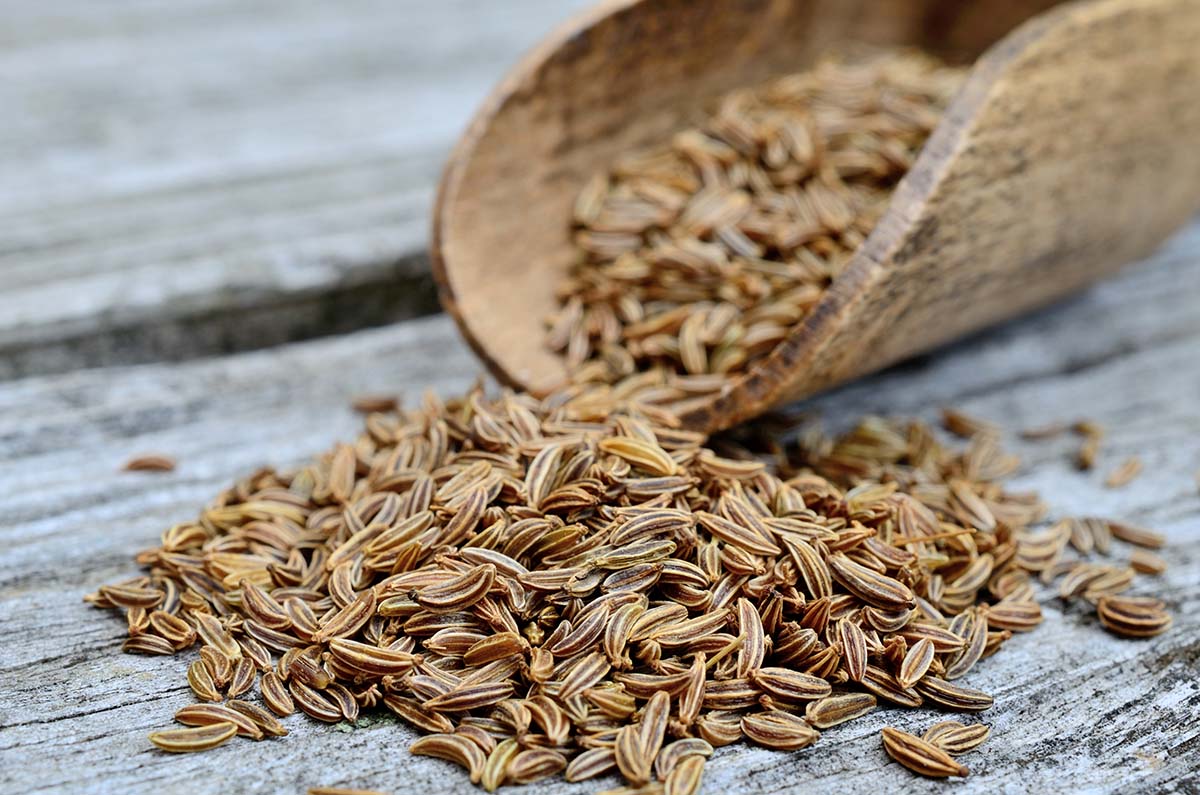 caraway seeds up close.