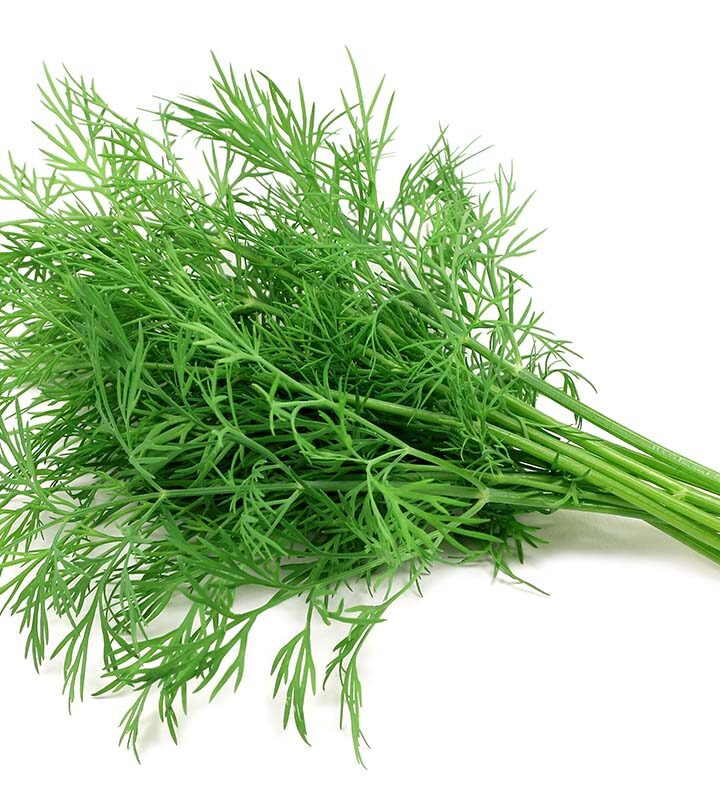 fresh dill.