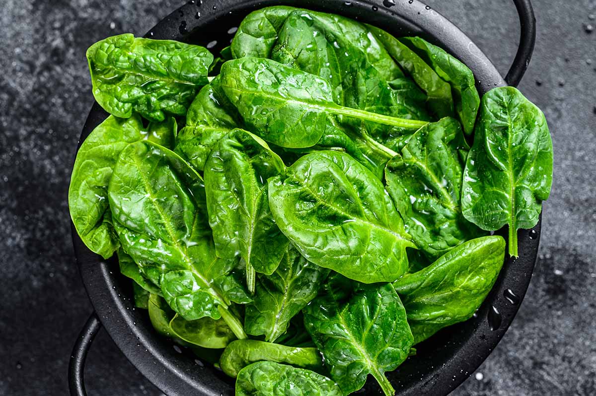 fresh spinach in a bowl. 