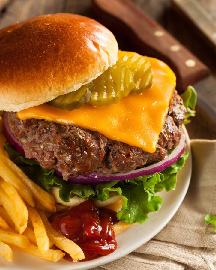 Bison cheeseburger with fries and ketchup on the side.