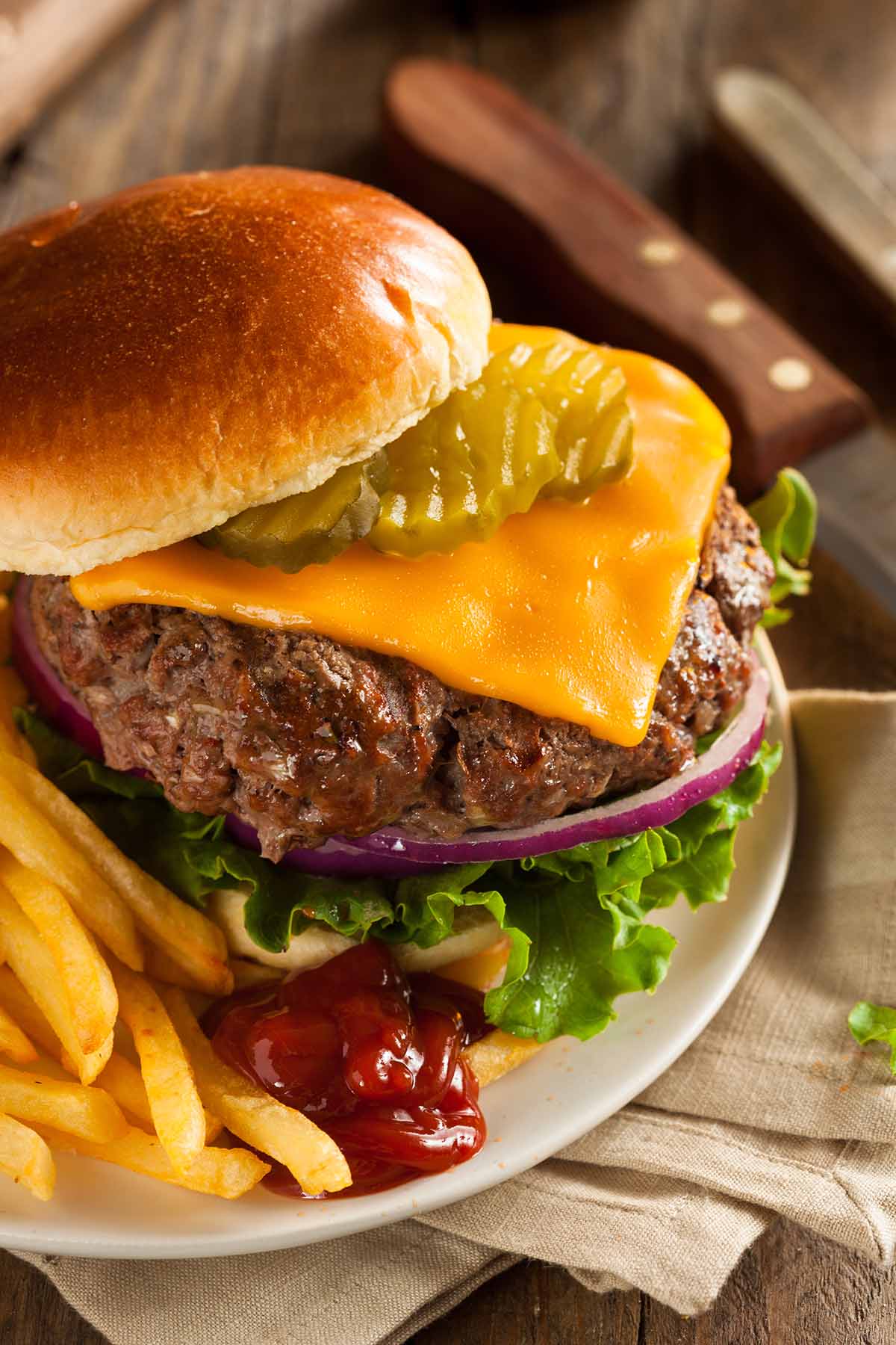Bison cheeseburger with fries and ketchup on the side.