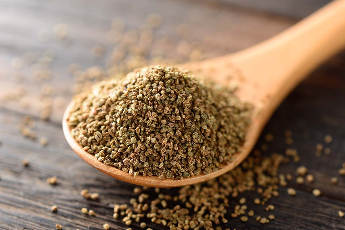 a tablespoon of celery seeds up close. 