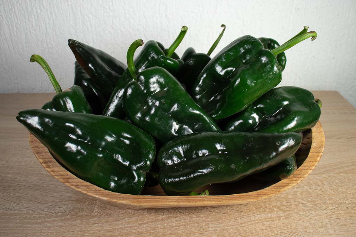 Poblano peppers in a wooden bowl.